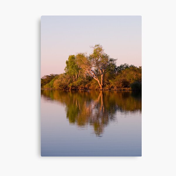 Kakadu 3 Canvas Print
