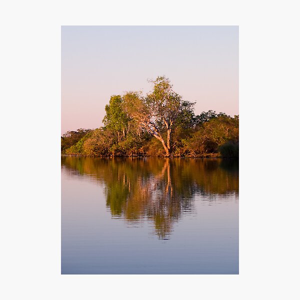 Kakadu 3 Photographic Print