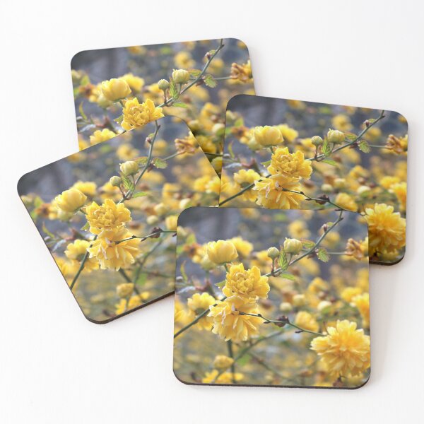 Item preview, Kerria japonica designed and sold by pinkal.