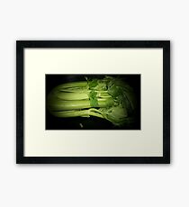 Green Stuff Framed Print