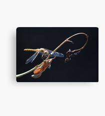 Dragon Against Darkness Canvas Print