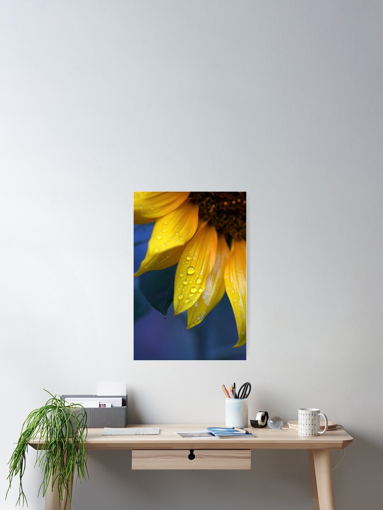 Thumbnail 2 of 3, Poster, Sundrops designed and sold by reneeablake.