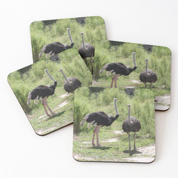 Item preview, Pair of Ostriches  designed and sold by PurpleKittyCat.
