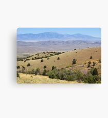 Spring Valley & Kern Mountains Canvas Print