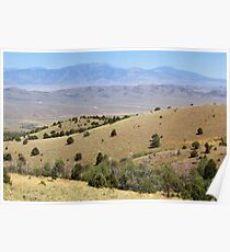 Spring Valley & Kern Mountains Poster