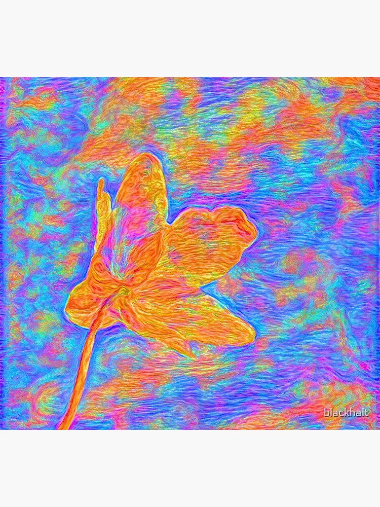 Flower by blackhalt