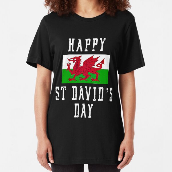 WALES WELSH FLAG present NEW xmas birthday gift ideas boys girls top T SHIRT