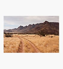 Wolwedans Road Photographic Print