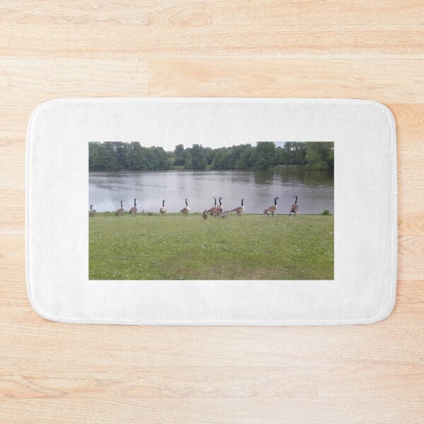 Item preview, Ducks & Geese designed and sold by EARNESTDESIGNS.