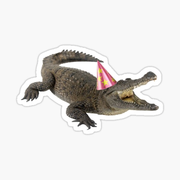 alligator party hat