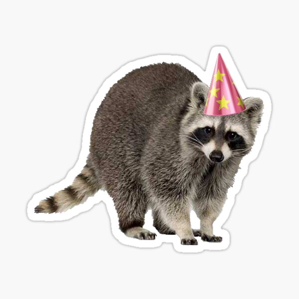 Raccoon with party hat Sticker