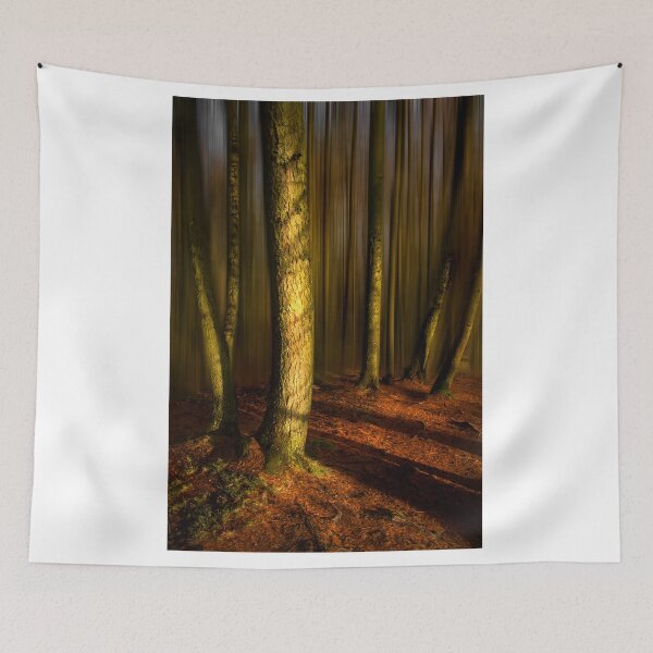 Item preview,  Winter Trees and colour in the Peak District. designed and sold by Rob-Turner.