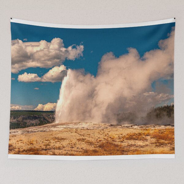 Item preview, Yet Another Obligatory Old Faithful Shot designed and sold by Bryan Spellman.