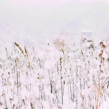 Artwork thumbnail, Winter by RufderFreiheit