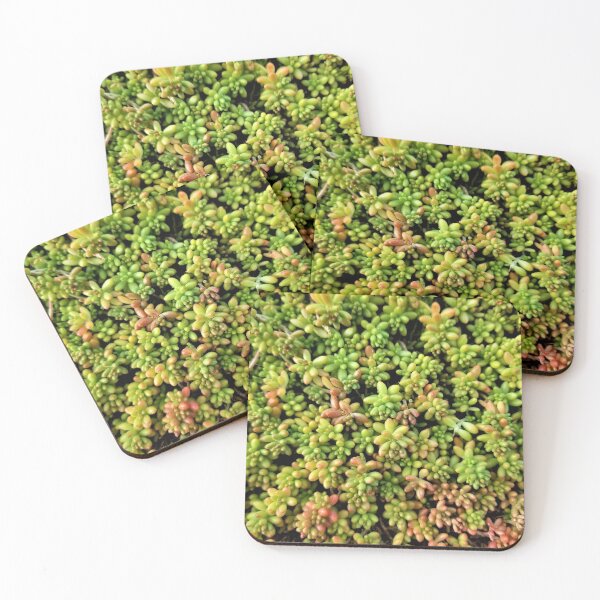 Item preview, Carpet of Stonecrop designed and sold by TheArtImp.