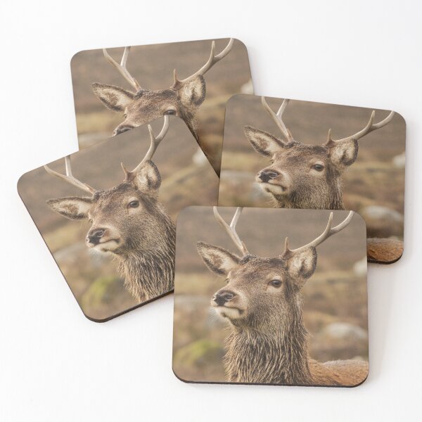 Item preview, Young Red Deer designed and sold by KWTImages.
