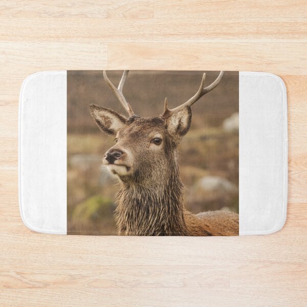Item preview, Young Red Deer designed and sold by KWTImages.