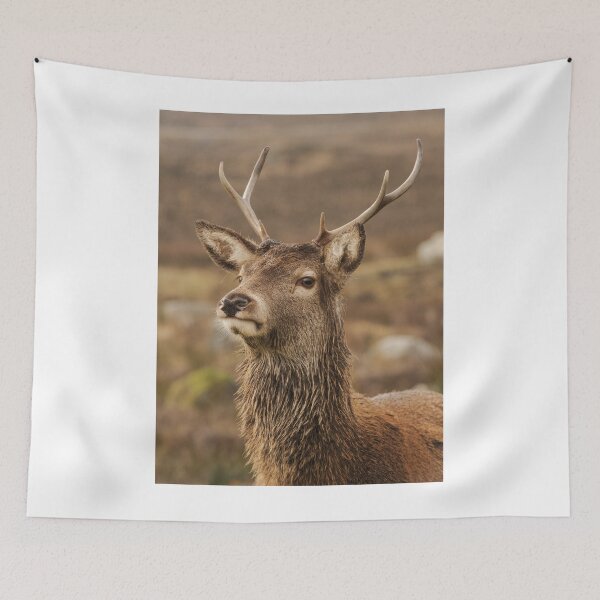 Item preview, Young Red Deer designed and sold by KWTImages.