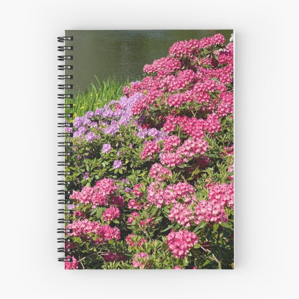 Item preview, Rhododendron named Azalea abloom designed and sold by Arletta Cwalina.