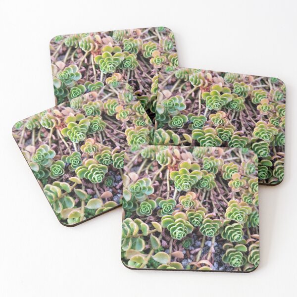 Item preview, Supine Succulents designed and sold by TheArtImp.
