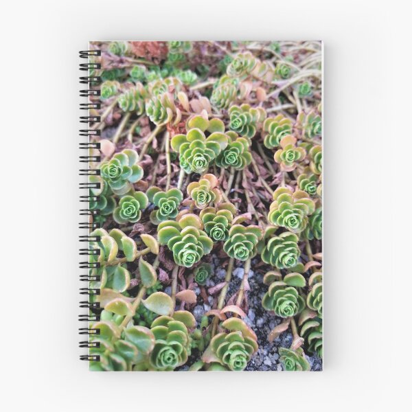 Item preview, Supine Succulents designed and sold by TheArtImp.