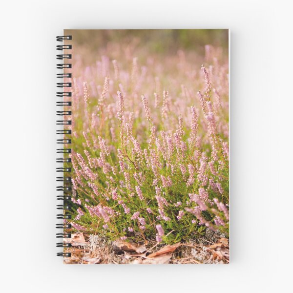 Item preview, Bunches of wild pink heather  designed and sold by Arletta Cwalina.
