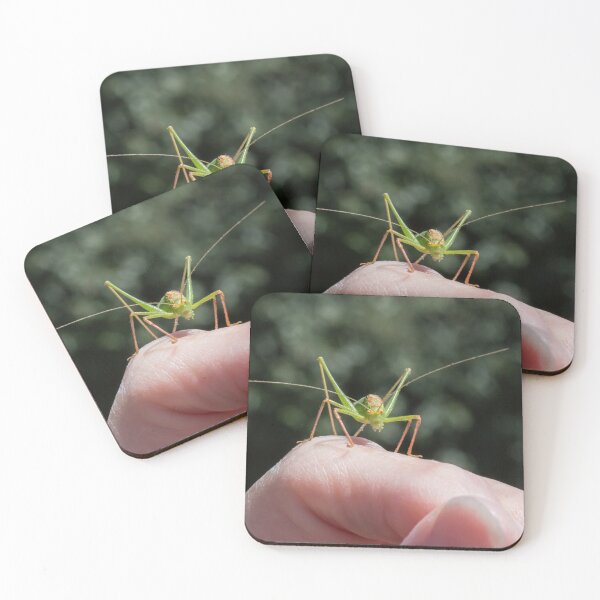 Item preview, Speckled Bush Cricket Male on Hand designed and sold by Sue Robinson.