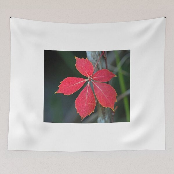 Item preview, A lonely leaf! designed and sold by Anthony Goldman.