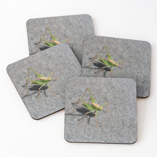 Item preview, Speckled Bush Cricket Male designed and sold by Sue Robinson.
