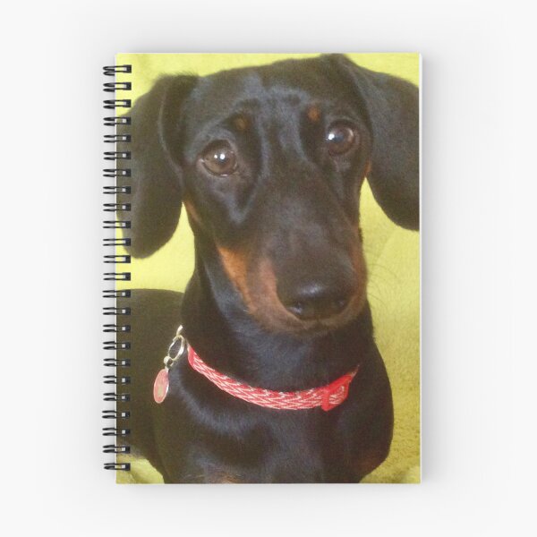 Item preview, “Sausage Mania”. Love Animals. designed and sold by Angela Haig-Harrison.