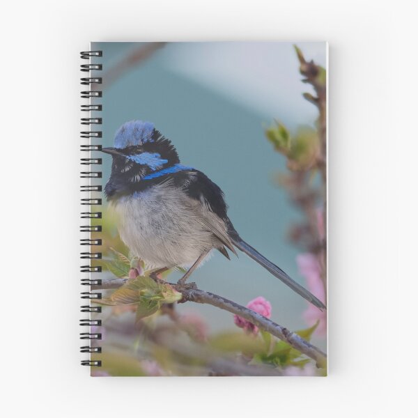 Item preview, Back Yard Wren designed and sold by David  Hibberd.