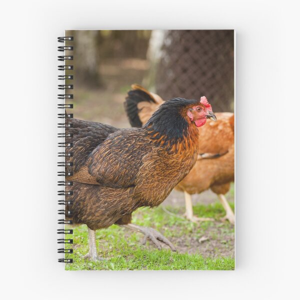 Item preview, brown Rhode Island Red hens designed and sold by Arletta Cwalina.