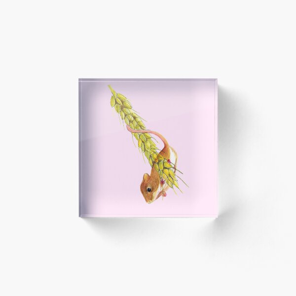 Harvest Mouse Animal Watercolor Painting Wildlife Artwork Acrylic Block