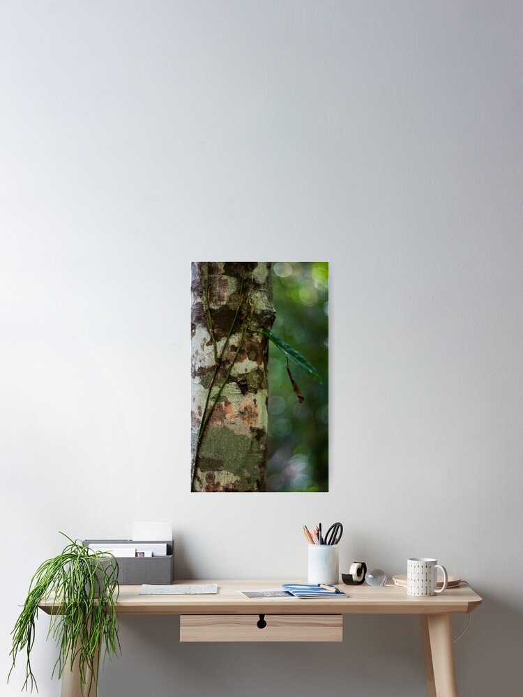 Thumbnail 2 of 3, Poster, Lichen - Patterns & Colours designed and sold by NOOG.
