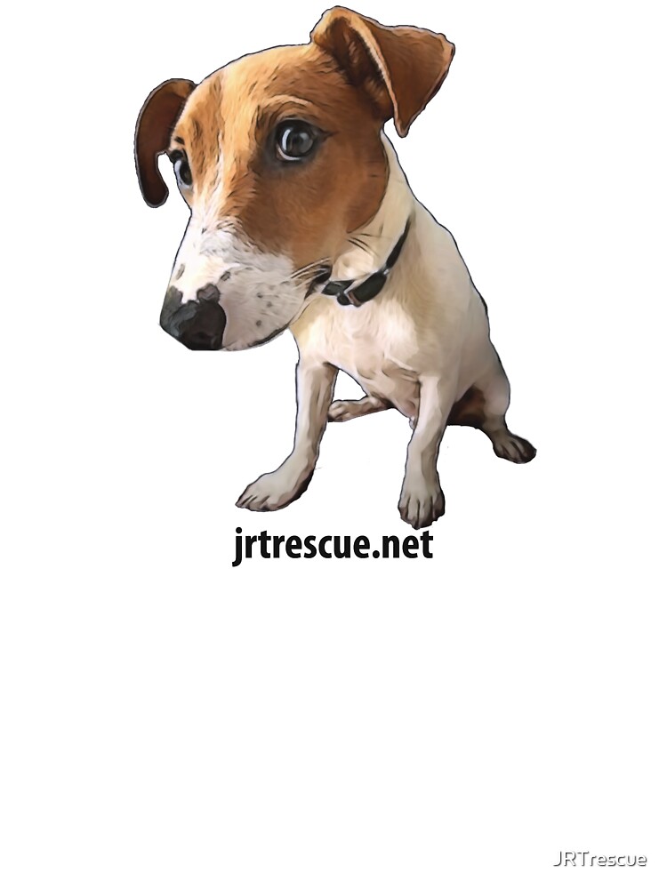 Jack russell terrier with sales kids