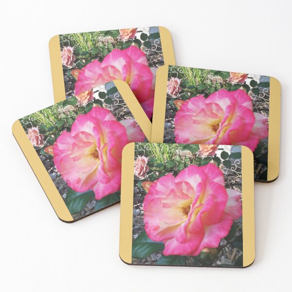 Item preview, Pink and Yellow Rose, Nature Photography by Courtney Hatcher designed and sold by cghatcherart.