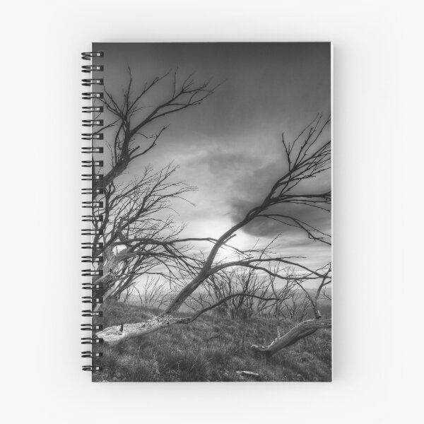 Item preview, The bones of trees designed and sold by Kevin McGennan.