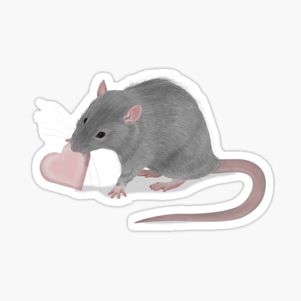 Theo the Rat with heart Sticker