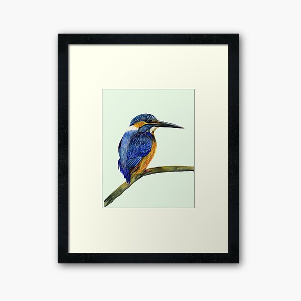 Kingfisher Bird Watercolor Painting Wildlife Artwork Framed Art Print