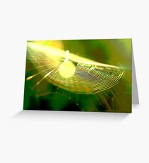 rainbow web Greeting Card