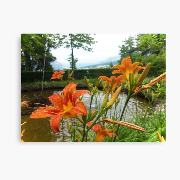 Untitled Canvas Print