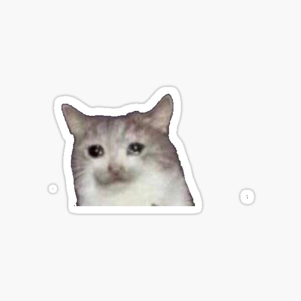 Gato llorando Pegatina
