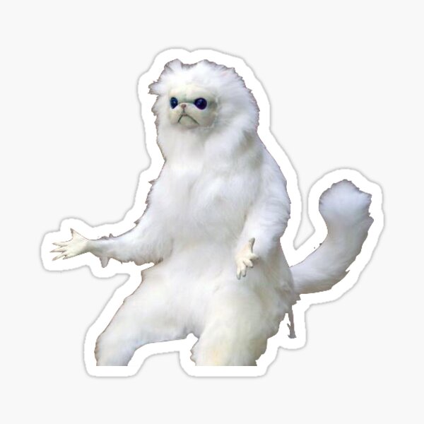 White Cat Hands Meme Gifts Merchandise Redbubble