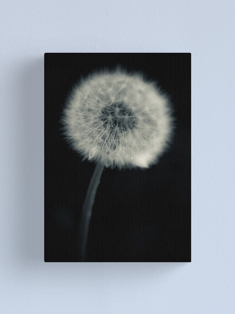 Thumbnail 1 of 3, Canvas Print, ...simple... designed and sold by Lushpup.
