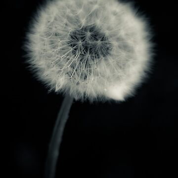 Artwork thumbnail, ...simple... by Geoffrey Dunn
