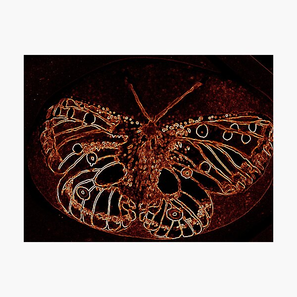 Apollo Photographic Print