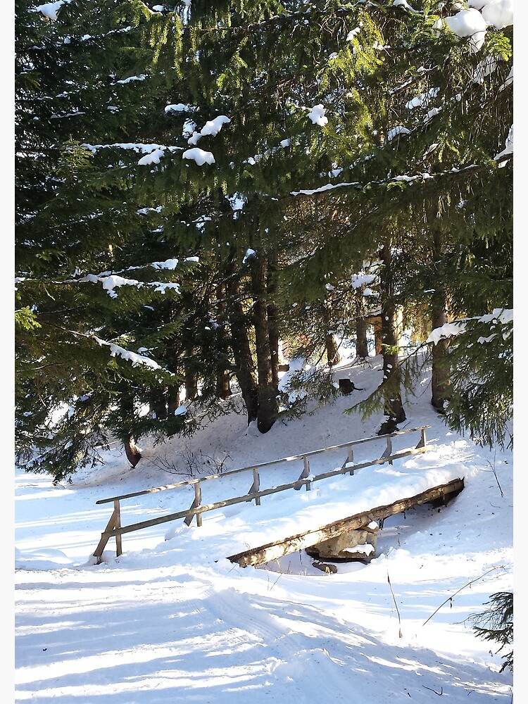 bridge to somewhere von graubuendner