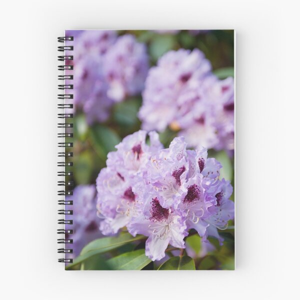 Item preview, Rhododendron called Azalea purple flowers designed and sold by Arletta Cwalina.