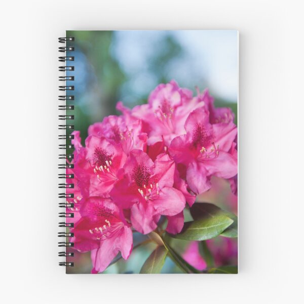 Item preview, Azalea plant bright pink flowers designed and sold by Arletta Cwalina.