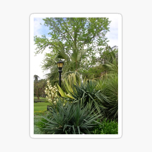 Item preview, A Green Corner, Queen's Gardens, Perth designed and sold by lezvee.